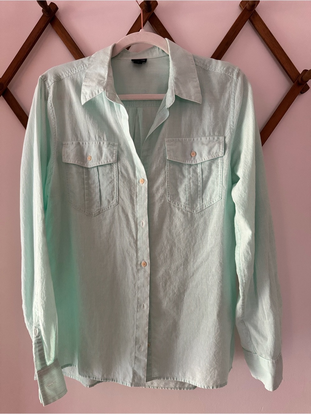Patagonia Mint Green Button-Front Shirt
